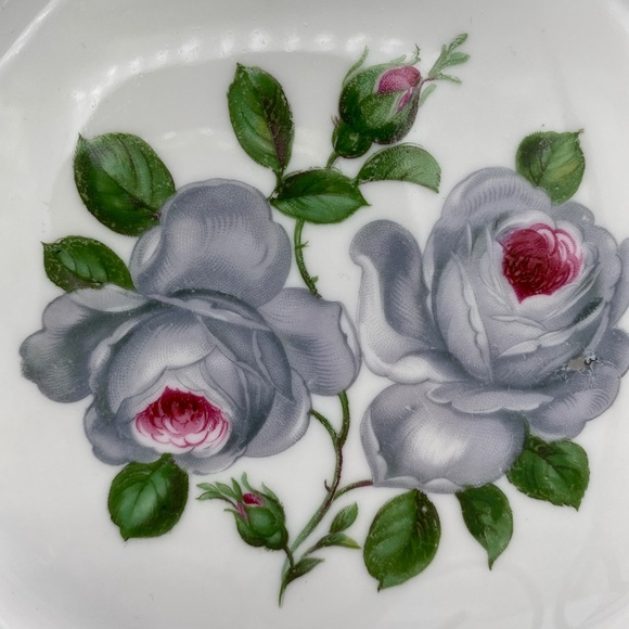 Vintage Set of 6 Royal Germany Tettau Salad Plates Shabby Cottage Gorgeous - Picture 2 of 7